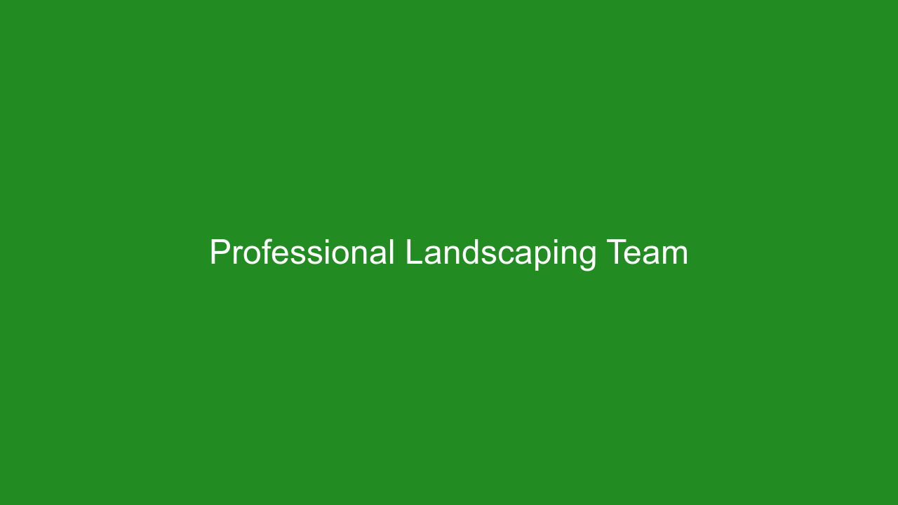 Professional landscaping team collaboration and expertise